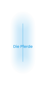 Die Pferde