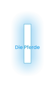 Die Pferde